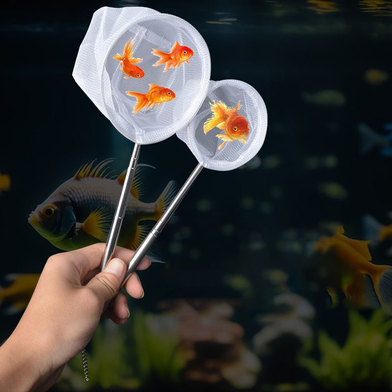 (BF06) Filet de pêche pour poi - Fishing Equipment Net avis et prix