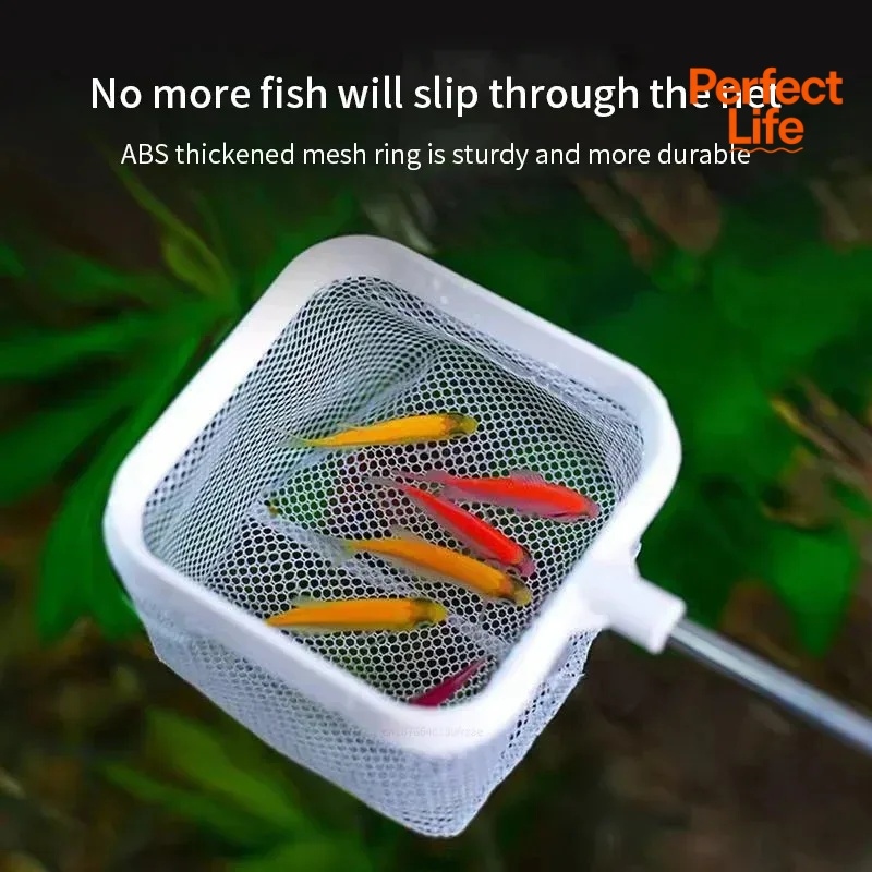 1 ou 2 pièces de filets de pêc - Fishing Equipment Net avis et prix