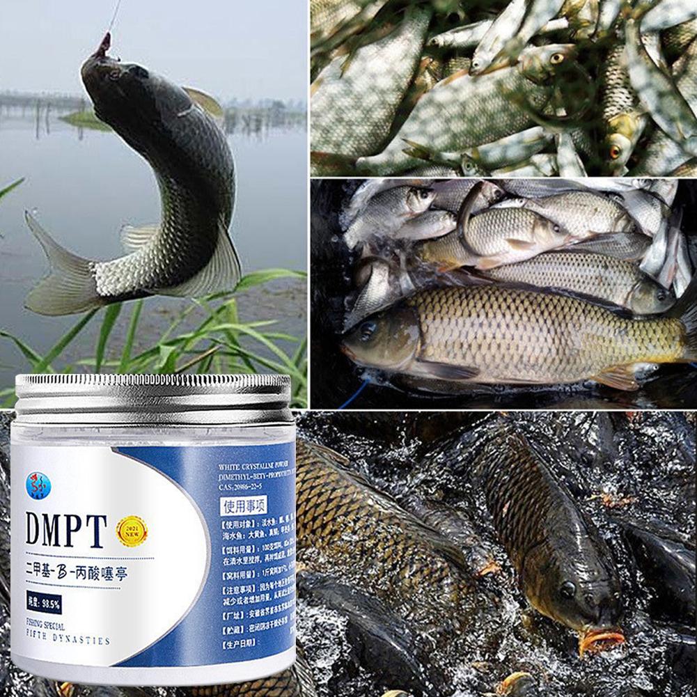 50g réel DMPT haute pureté app - Fishing Equipment For Sale avis et prix